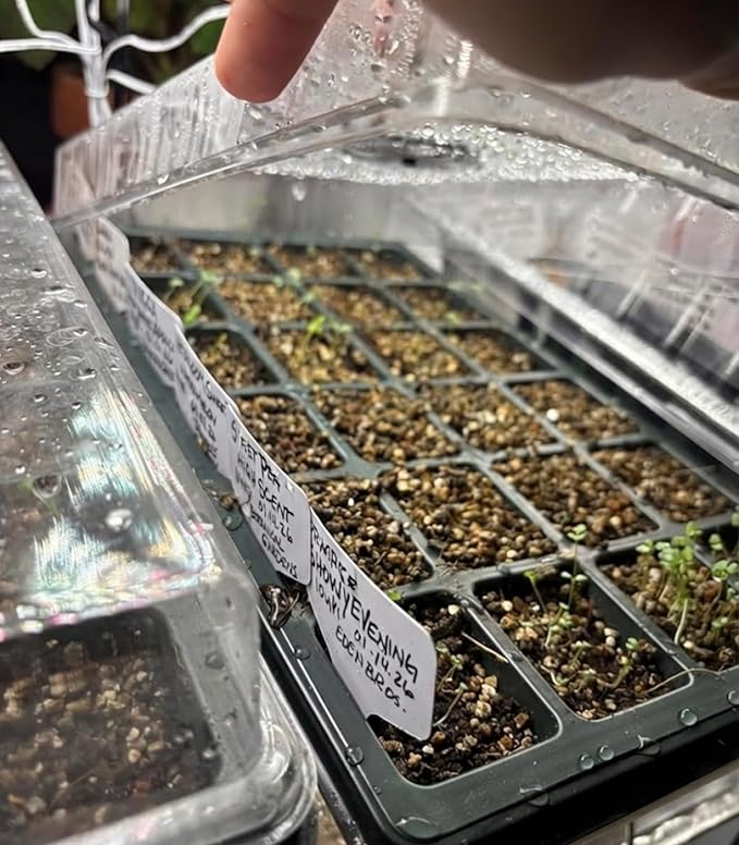 10-Pack XL Seed Starter Tray with Dome – 24 Large 2" Cells per Seedling Starter Trays (Total 240 Cells), Seed Growing Tray with Humidity Lids for Greenhouse Home Plant Propagation