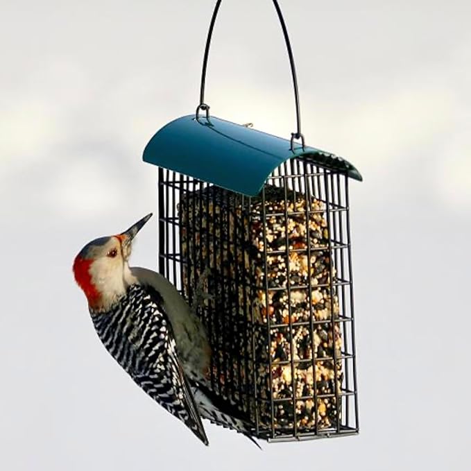 Backyard Essentials Large Suet Feeder - Metal Woodpecker Suet Cage with Metal Roof - Holds 1 Large Seed Cake