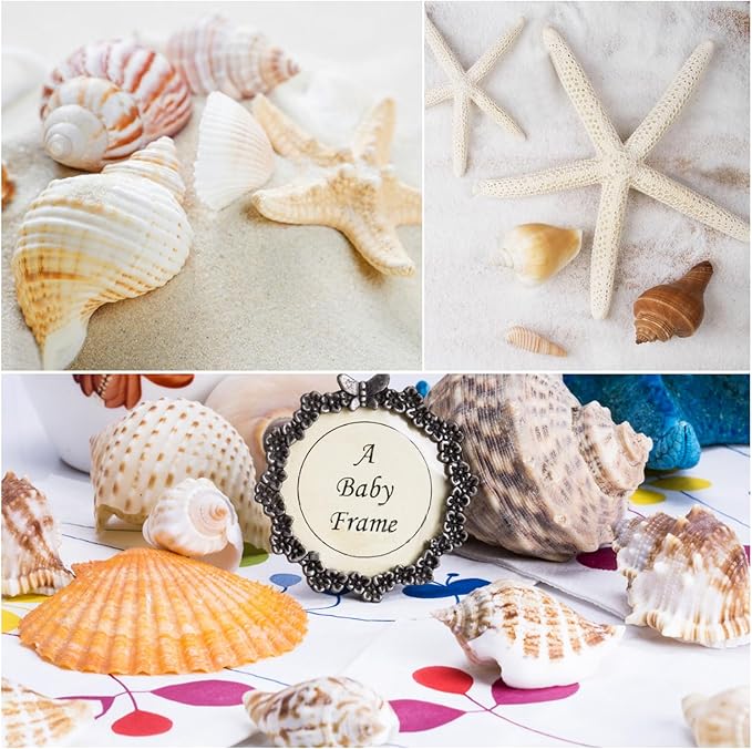 Fangoo 1.5 LB Mixed Sea Shells, 130+ PCS Beach Seashells Starfish Oyster Shells Various Sizes Ocean Seashells for Fish Tank Vase Fillers Beach Theme Party Wedding Decor DIY Crafts Home Decorations