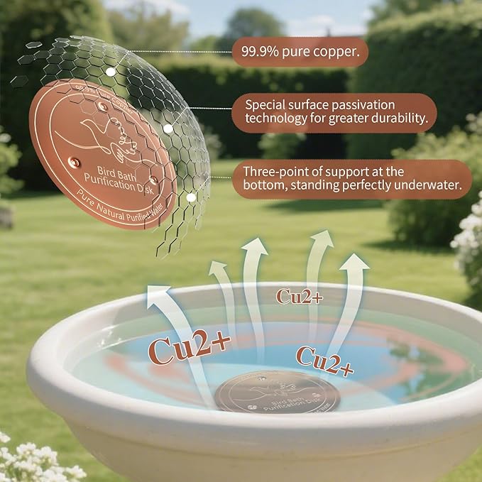 2Pcs Bird Bath Purification Disk, 99% Pure Copper 0.6mm Thickness Birdbath Copper Disk with Triple-Point Support for Clean Water, Year-Round-Use, 4 in Disk for All Outdoor Birdbath&Bowls