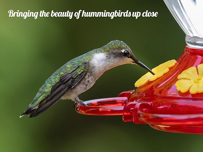 Plastic Hummingbird Feeders for Outdoors Hanging, 2 Pack 13 Ounces Ant and Bee Proof Small Hummingbird Feeders with 6 Feeding Ports and Perches for Outside Garden Décor