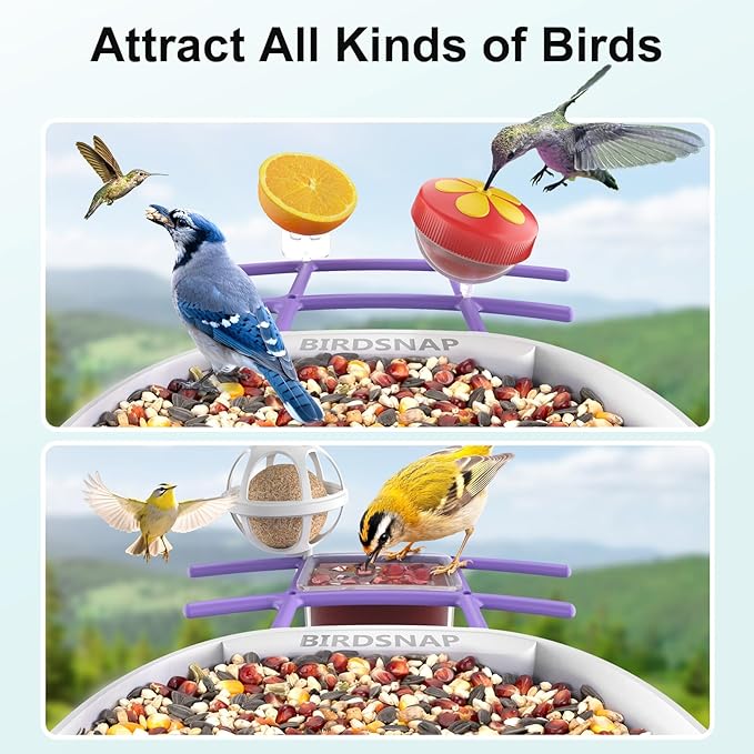 birdsnap® PAV-Bird Feeder with Camera,2K HD with 64GB Card, AI Identify Smart Bird House Cam Solar Panel,Live Stream,Motion Detection,Auto Record Video for Backyard Outdoors,Ideal Gift for Bird Lover