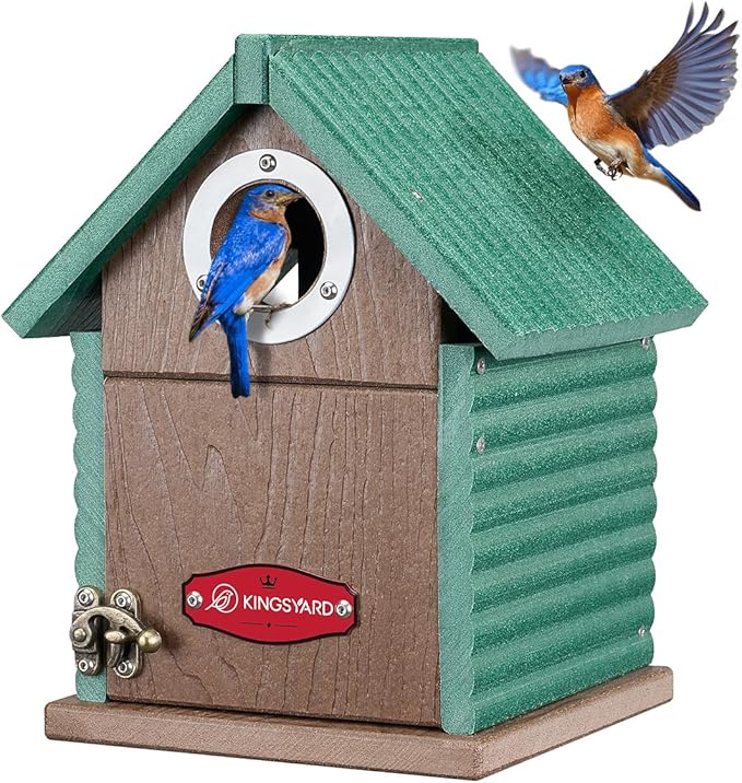 Kingsyard Recycled Plastic Bird House for Outdoors - Weatherproof Nesting Box with Clear View Panel & Predator Guard for Bluebird Wren Swallow Finch, Green