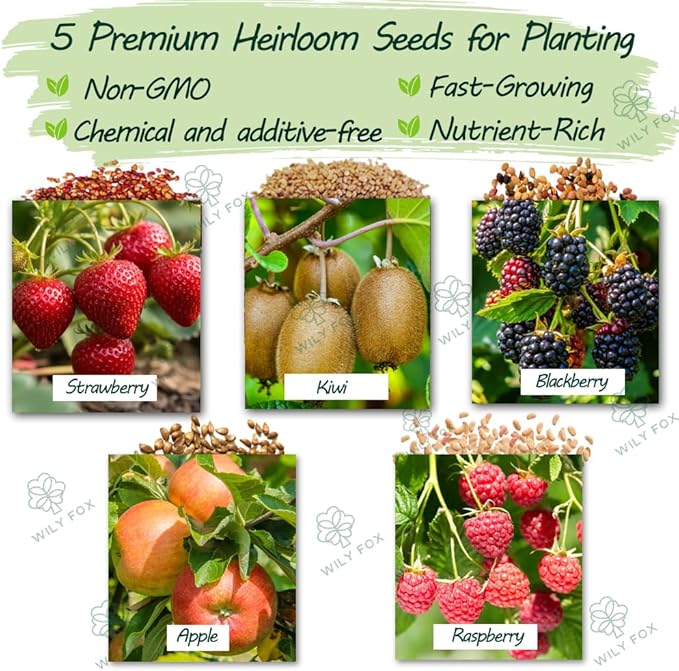 Fruit Seeds Variety Pack for Planting – Strawberry Seeds, Raspberry Seeds, BlackBerry Seeds, Kiwi Seeds for Planting & Apple Tree Seeds – Home Garden Seed Pack
