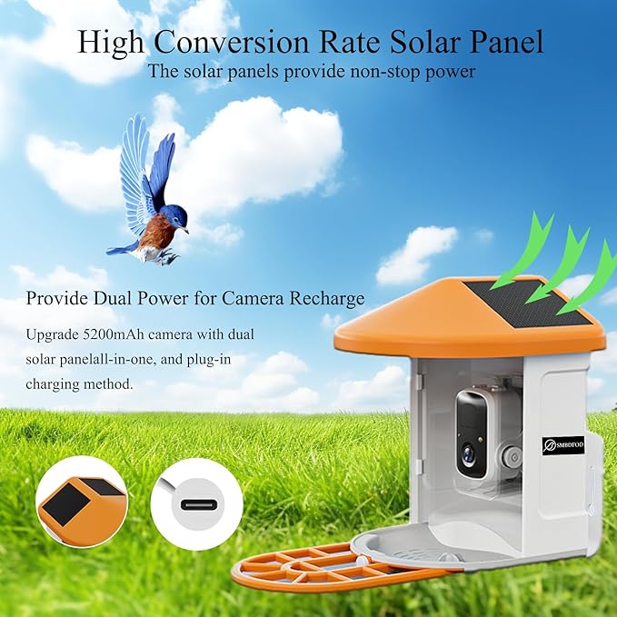 Squirrel Feeder with Camera Solar Powered, Smart Squirrel Bird House Camera Wireless Outdoor, AI Identify. Auto Capture and Video Motion Detection & 2K Live View, Ideal Gifts for Lover