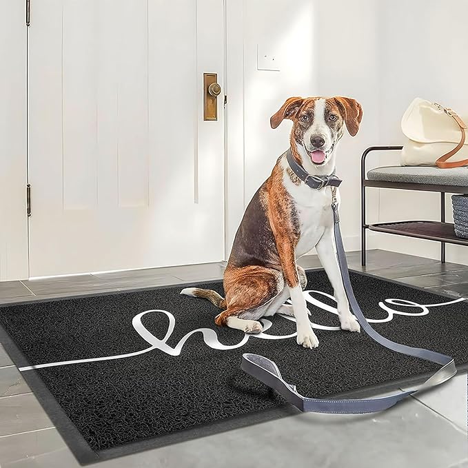 KILOCOCO Hello Doormat Welcome Mats Front Door Mat Outdoor Mat Low Pile Entrance Non-Slip Outdoor Doormats High Traffic Area Rubber Backed Entry Mats for Kitchen Indoor,31"x47"