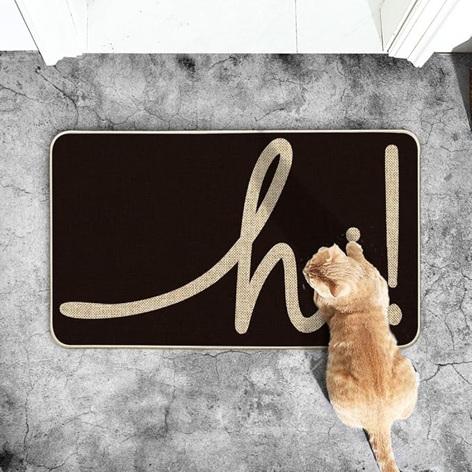 Artoid Mode Black Hi Doormat, Home Decor Low-Profile Switch Rug Welcome Door Mat Floor Mat for Front Door Indoor Outdoor 17x29 Inch