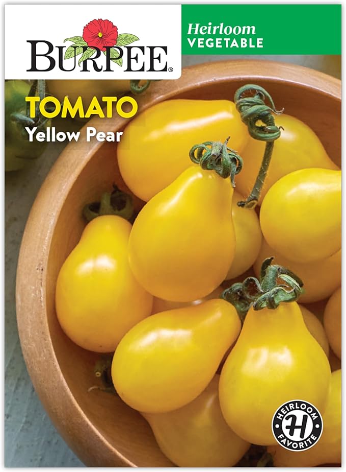 Burpee 'Yellow Pear' Heirloom Tomato Seeds - Non-GMO, Indeterminate, Heirloom, Cherry Tomato, 200mg Seed Packet for Home Gardening