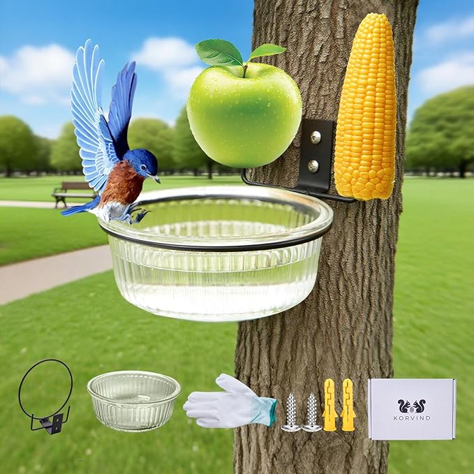 Glass Squirrel and Bird Feeder for Outdoors - No Assembly, Removable Bowl for Wet Food, Water or Bird Bath, Panoramic View, Easy Tree or Fence Mount, Easy to Clean