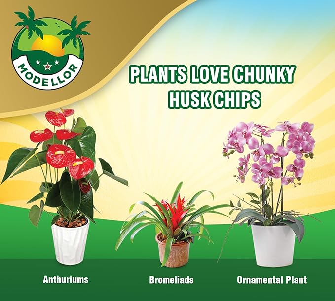 MODELLOR Premium Super Washed, Clean, Coco Chips, 2 Bricks (2.2 lb.) yields 14 Qts. of Loose Chips. Plant Substrate, Organic, Reptile Bedding, Odor Absorbing, Grow Orchids, Mulch Indoor, Outdoor.