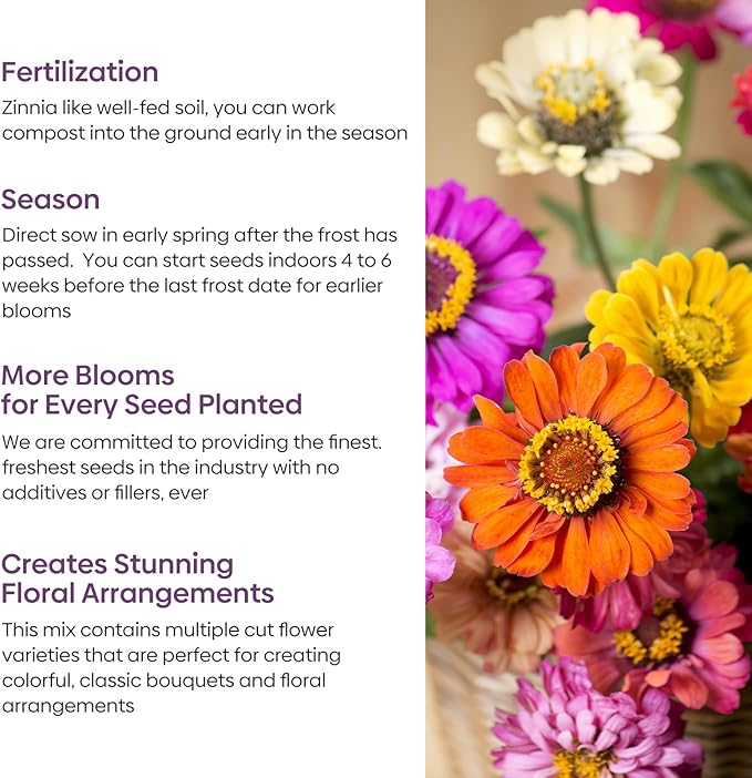 Zinnia Seeds, 2 Oz (2 Packs), Flowers Seeds for Planting, Wildflower Seeds Bulk, 5 Varieties Mixed Colors and Large Blooms, Open Pollinated, Non GMO Made in USA