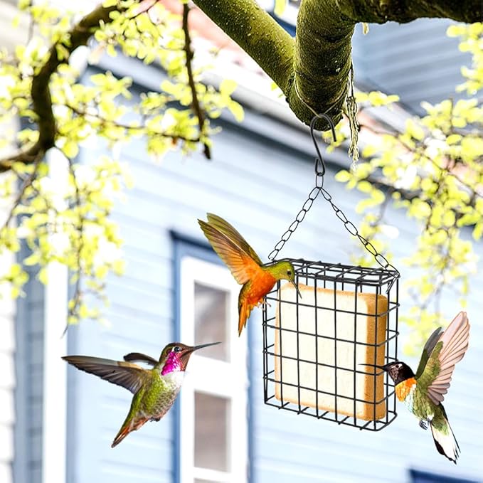 2PCS Outdoor Suet Cage Bird Feeder, Wild Bird Feeder with Single Suet Cake Capacity for Hanging Outside