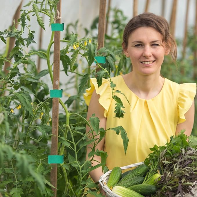 Garden Tie Green Tape - 1/2" 264ft Garden Plant Ties - Plant Twist Tie for Plant Gardening, Home, Office (8 Pack)