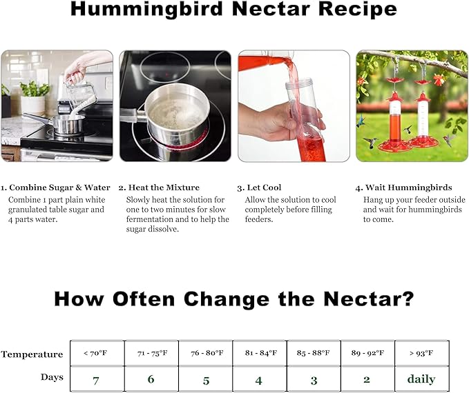 Hummingbird Feeders for Outdoors Hanging - 5 Feeding Ports 12 oz Plastic Hummingbird Feeder, Bee-Proof Leak-Proof No Drip, Easy to Clean with Cleaning Brush