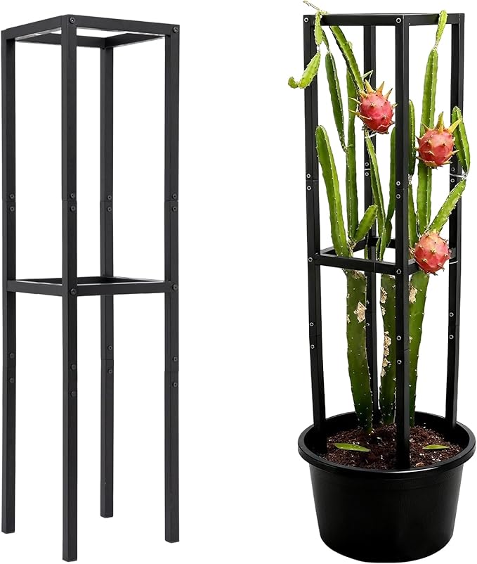48x12 Inches Dragon Fruit Trellis for Climbing Plants - Premium Quality Metal Support Stand, Weather-Resistant & Durable for Gardeners and Plant Enthusiasts