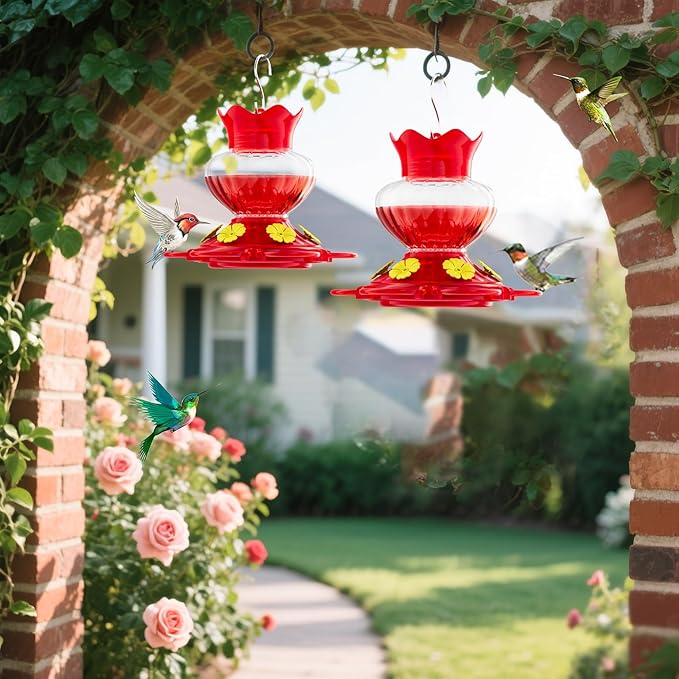 Plastic Hummingbird Feeders for Outdoors Hanging, 2 Pack 13 Ounces Ant and Bee Proof Small Hummingbird Feeders with 6 Feeding Ports and Perches for Outside Garden Décor