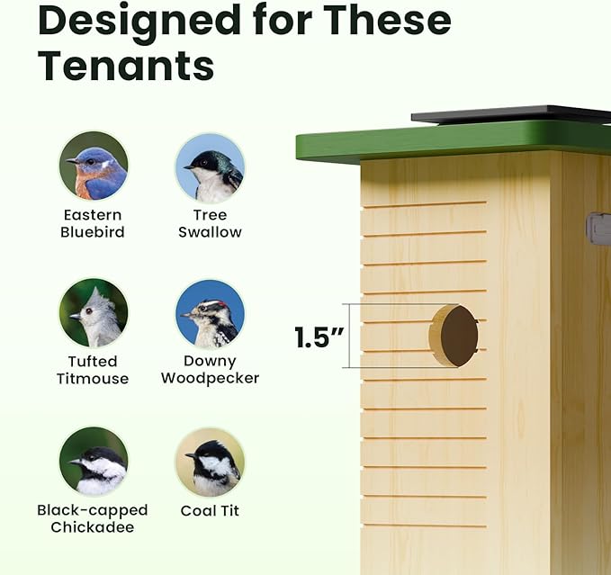 Birdfy Smart Bird House with Camera Solar Powered, 1080HD Live Video & Night Vision for 24/7 Nesting Recording, Auto Detect & Notify, Ideal Nature Gift for Bird Lovers, AI Identify Lifetime Free