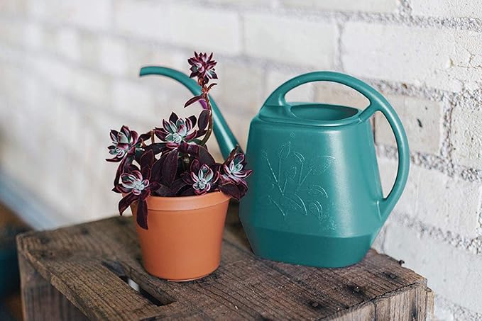 Bloem Deluxe Watering Can