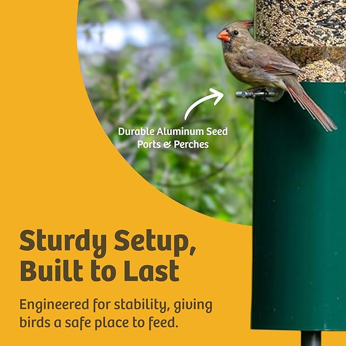 Birds Choice Classic Squirrel Proof Bird Feeder with Pole Mount | Tube Bird Feeder for Cardinals, Chickadees, Woodpeckers | Sturdy Steel for Long-Lasting Use | Backyard Bird Seed Dispenser | Green