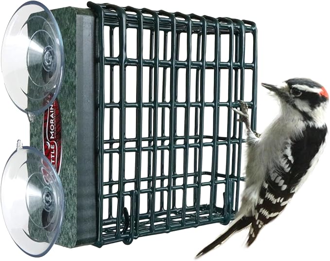 Kettle Moraine Window Mount Single Suet Cake Woodpecker Bird Feeder