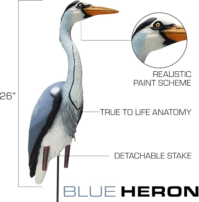 Higdon Outdoors Blue Heron Confidence Decoy for Waterfowl and Ornamental Water Garden, Pond and Landscape Decoration Plus Pest Deterrent