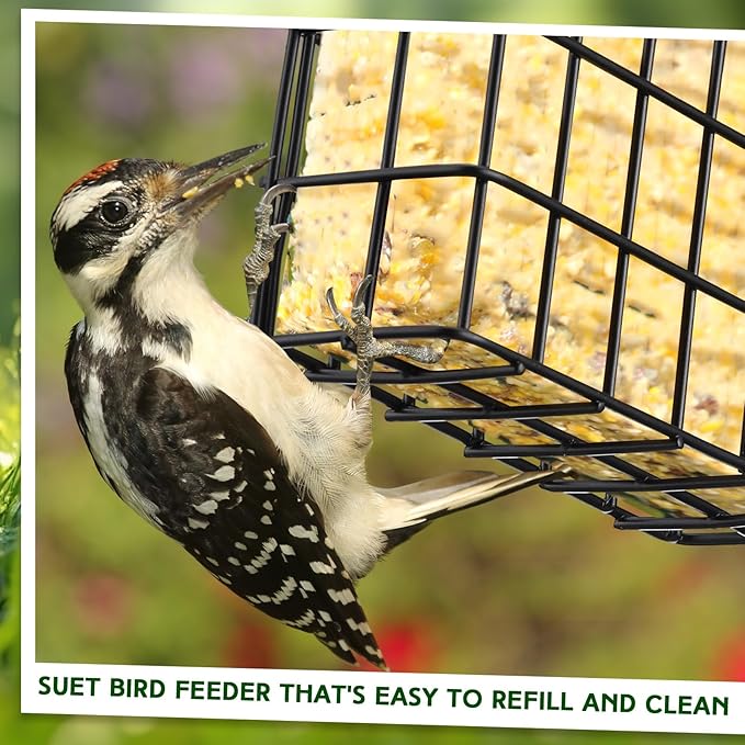 Zhehao 12 Pcs Suet Bird Feeders Outdoor, Hanging Wild Bird Feeder with Single Cake Capacity, Weatherproof Metal Suet Feeder for Garden Yard Outside Decoration, Easy to Clean & Hang (Black)