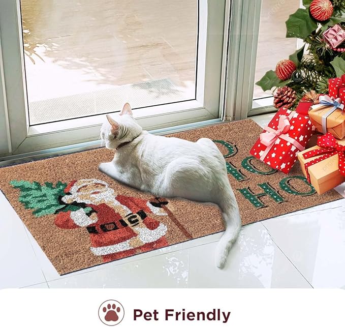 Folkulture Christmas Door Mat Outdoor, Eco Friendly Christmas Door Mats for Front Door, 28 X 16 Inch Welcome Matt or Doormat for Home Entrance, Durable & Anti Slip Coir Door Mats (Santa Clause)