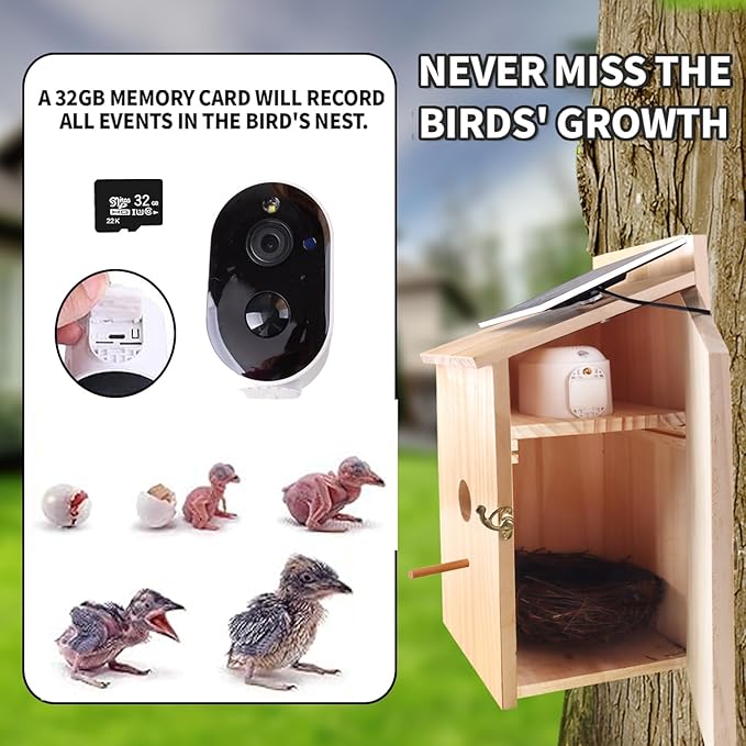 Smart Bird House with Camera Solar Powered, 1080p HD Wireless Outdoor Bird House with Auto Capture Bird Video & Motion Detection, Night Vision, A Bird Box for Wild Birds