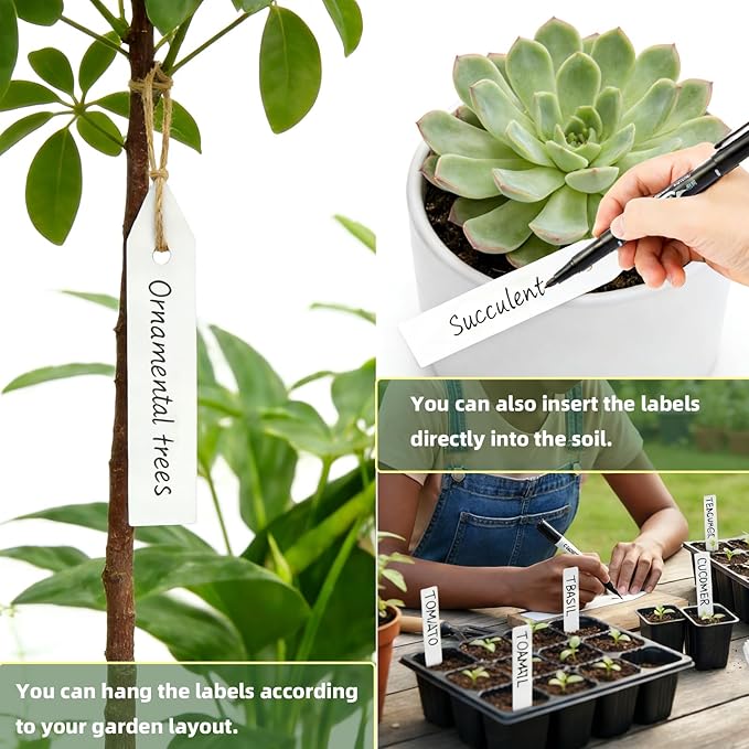 Plant Labels 250 PCS, Slim White Garden Plant Tags with Holes, PP Plastic Waterproof Labels with Permanent Marker, Jute Twine & Storage Box for Indoor & Outdoor Gardening (250PCS)