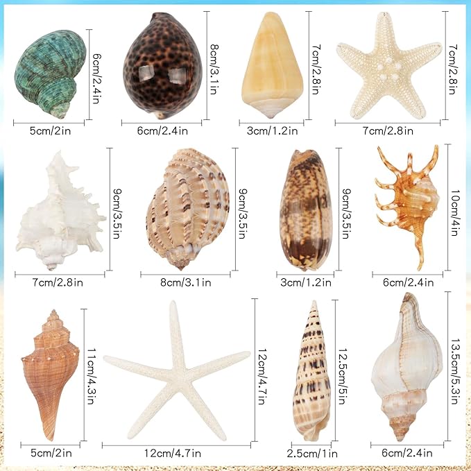12 PCS Large Seashells Mixed Beach Sea Shells and Ocean Natural Starfish,Natural Colorful Sea Shells Starfish Up to 6.5 Inch, Perfect for Beach Theme Party Home Decor DIY Crafts Fish Tank Decorations