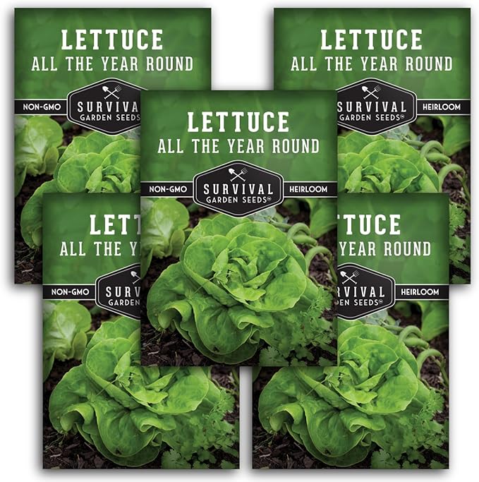 All The Year Round Lettuce Seeds for Planting – Slow-Bolting Butterhead Variety for Cool and Moderate Climates – Reliable Year-Round Harvest – Heirloom Non-GMO – Survival Garden Seeds (5 Packs)