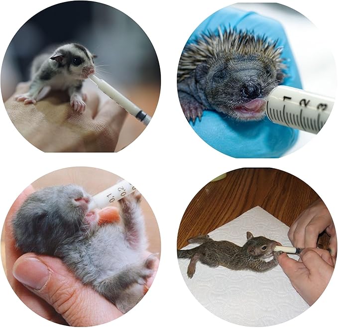 Exotic Nutrition Baby Squirrel Nursing Set (Basic) - Milk Replacer, Feeding Syringes