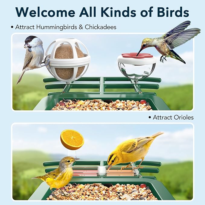 Bird Feeder with Camera Solar Powered, AI Identify & Auto Capture with 32GB Card, 2K HD Live Video Smart Bird Feeder Camera Instant Notifications in Backyard, Gift for Bird Lovers