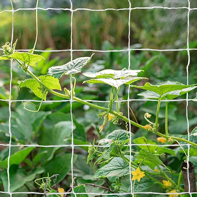 Tcamp Heavy-Duty Polyester Plant Trellis Netting 5 x 15ft (2 Pack) (5 Ft X 15 Ft)