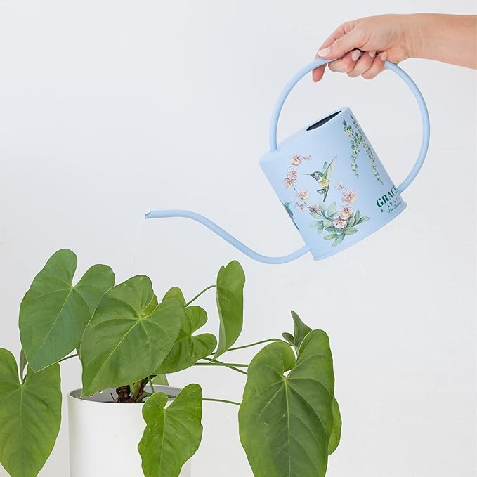 Watering Can for Indoor House Plants & Spray Water Mist Bottle - Cute Decorative Metal Gardening Small Water Can for Houseplants & Flowers with Long Spout - 1.5L 51floz 0.4 Gallon (Hummingbird Blue)