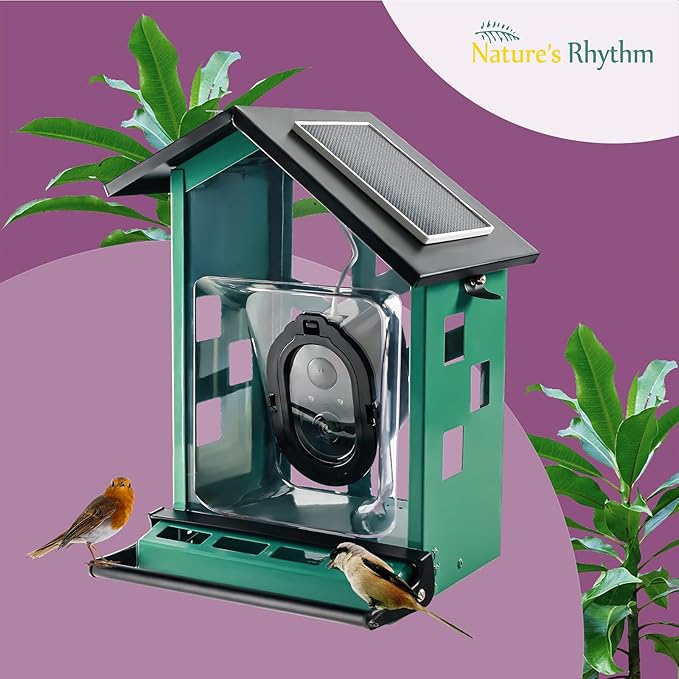 Bird Feeder Squirrel-Proof Bird Feeder with Camera Watch The Birds Feed