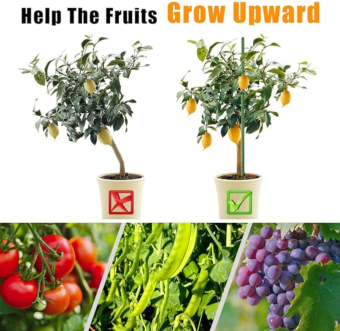 Garden Stakes 36 Inches Heavy Duty Steel Tomato Stake, Plastic Coated Support for Securing Trees, Climbing Plants, Cucumber, Beans, Pack of 20