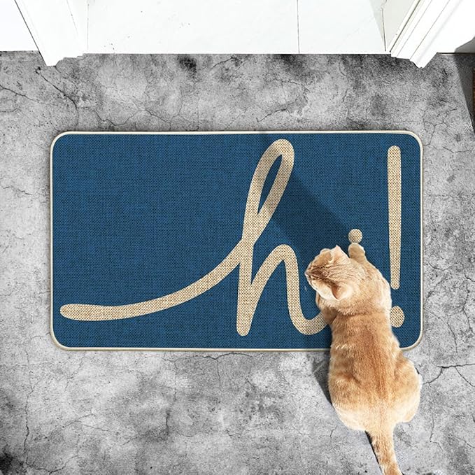 Artoid Mode Blue Hi Winter Doormat, Home Decor Low-Profile Switch Rug Welcome Door Mat Floor Mat for Front Door Indoor Outdoor 17x29 Inch