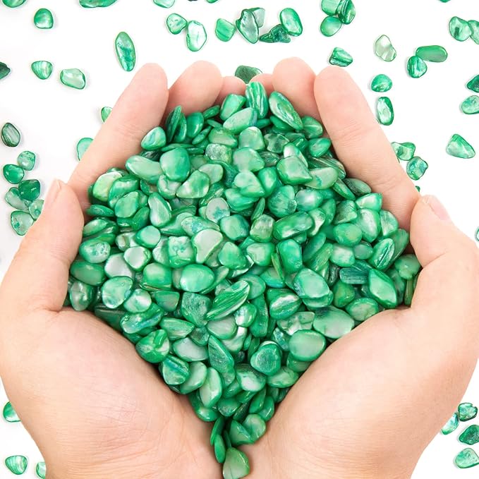 QICQDRAM Crushed Shells for Crafts About 1LB (405g/14.28oz) Small Natural Crushed Shells Bulk for Crafts DIY Beaching Wedding Decoration Vase Fillers (Green)