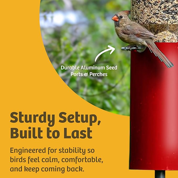 Birds Choice Classic Squirrel Proof Bird Feeder with Pole Mount | Tube Bird Feeder for Cardinals, Chickadees, Woodpeckers | Sturdy Steel for Long-Lasting Use | Backyard Bird Seed Dispenser | Green
