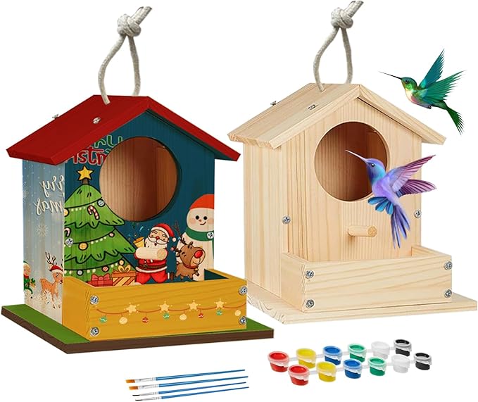 Bird House Kits for Adult, Wooden DIY Birdhouse Kit, Outdoor Woodworking Crafts Freestyle Painting, Arts and Crafts Projects with Paints & Brushes, Hanging Birdhouse for Garden Yard Decor Gifts (2Pcs)