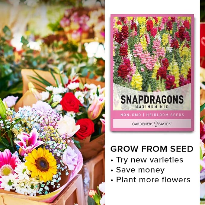 Gardeners Basics, Snapdragon Seeds for Planting (Maximum Mix Snap Dragon) Annual Flower Heirloom, Non-GMO Variety- 400mg Seeds Great for Summer Seeds for Gardening Flowers Gardens