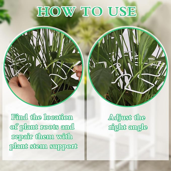 5 PCS Plant Stem Holder Support Turtle Shell Bamboo Clam Set for Climbing Plants Indoor Monstera Leaf Plant Support Accessories for Outdoor Gardens Keeps Plants Thriving Growth (White)