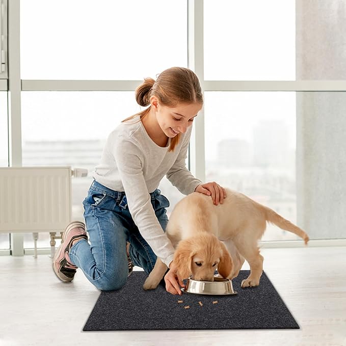 AAZZKANG Door Mat 2 Pack Non Slip Indoor Outdoor Doormat Utility Multi-Purpose Mats Ultra Absorb Mud Easy to Clean Welcome Mat for Entry,Front Door,High Traffic Areas Grey