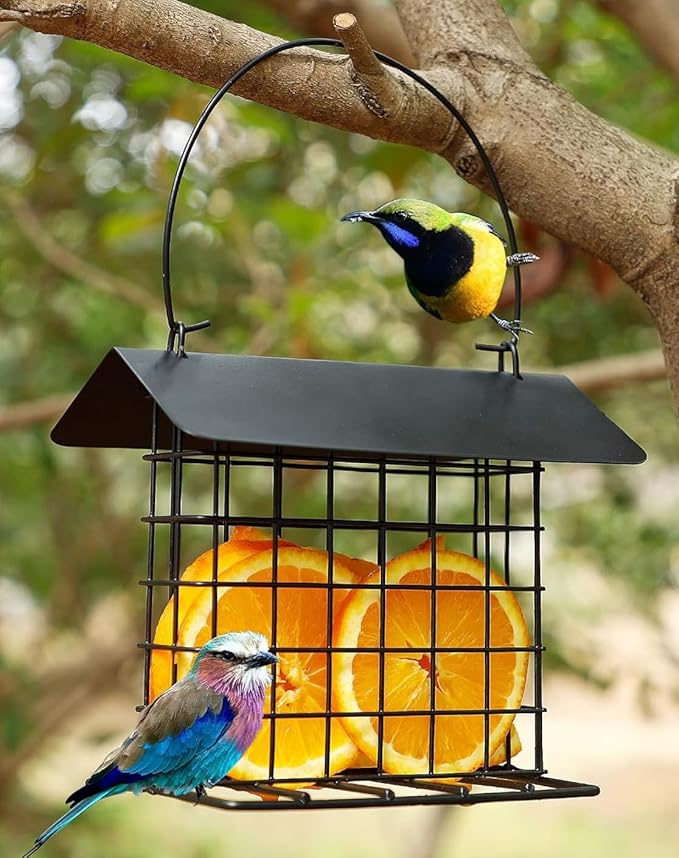 Durable Roof Top Bird Parrot Suet Reusable Feeder for Outside Garden Yard Patio Hanging Metal Suet Cake Holder Squirrel Proof Weatherproof for Wild Hummingbird Woodpecker
