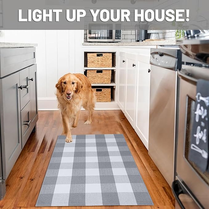 IOHOUZE Buffalo Plaid Checkered Rug 27.5" X 43" Front Door Mats, Washable Area Rugs for Front Porch Decor, Spring Summer Welcome Mats Outdoor, Gray White Rug for Farmhouse/Entryway/Home Entrance