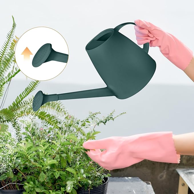 Plastic Watering Can - for Indoor and Outdoor House Plant Garden - with Long Spout - 1/2 Gallon - Blackish Green