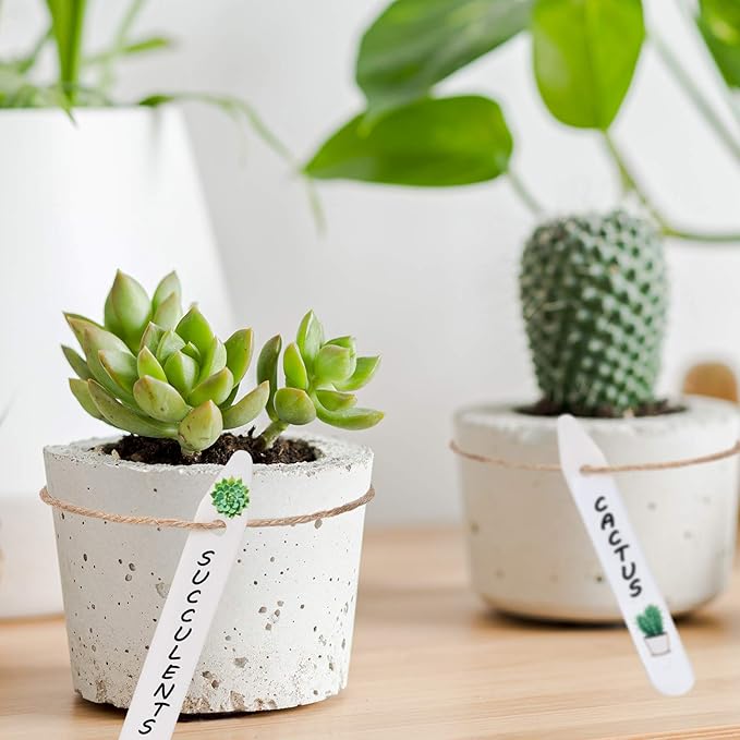 Whaline 200Pcs Thick Plastic Plant Labels with Hole White Waterproof Garden Stake Tag Signs for Greenhouse Garden Seedlings Flowers Spotted Plants with 2 Marker Pen and A Roll of Twine (12.5 CM)