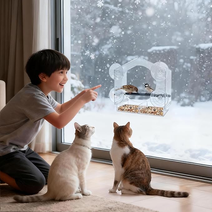 Window Bird Feeder with Strong Suction Cups - 2Pack Clear Sturdy Acrylic Birdfeeder for Outside Windows, 360° Clear View - No Drill Easy Install, Perfect for Cardinals & Finches,etc(2026 New)