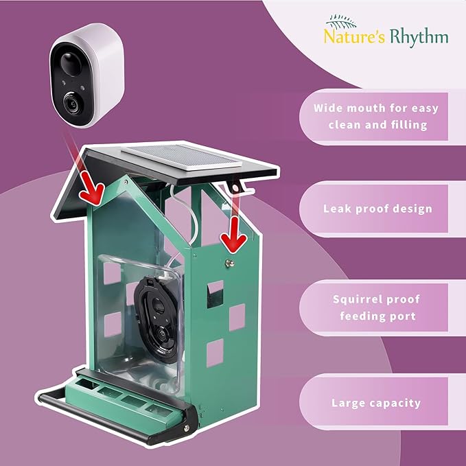 Bird Feeder Squirrel-Proof Bird Feeder with Camera Watch The Birds Feed